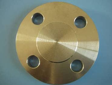 Stainless Steel 304 Flanges Manufacturer